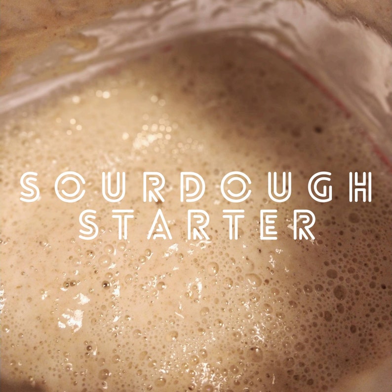 Bubbly sourdough starter